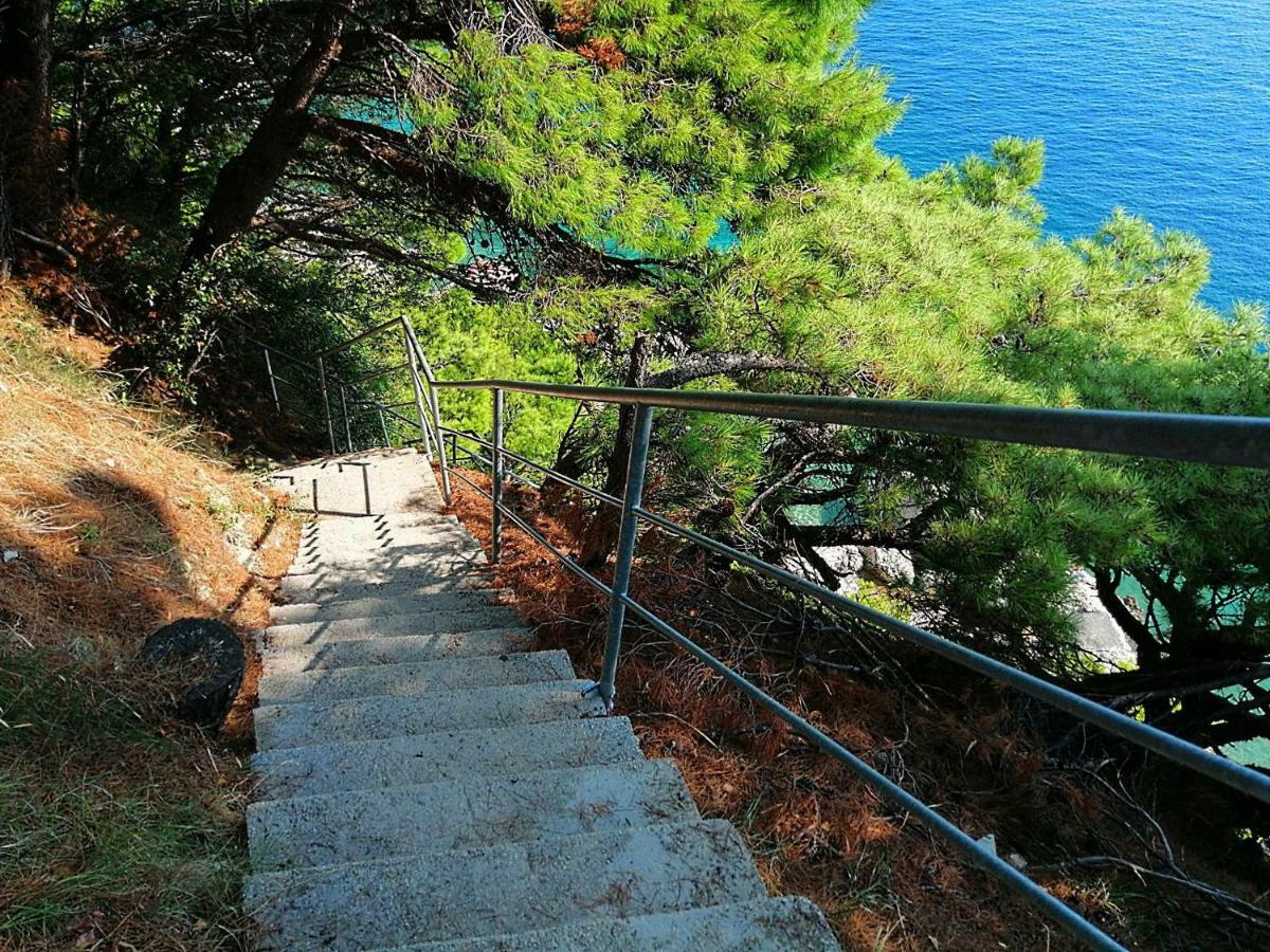 Apartments Villa Jadranka Marusici  Εξωτερικό φωτογραφία